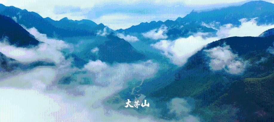 “开放音符”——春节里的中欧班列