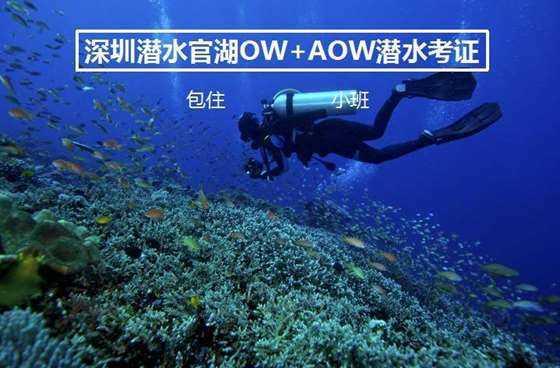 为现场观看亚洲杯总决赛,极限之地的粉丝掀起了“小作文”大比拼